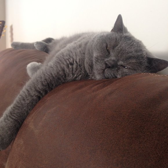 Meet your Posher, Kelly - Picture 1 of 1